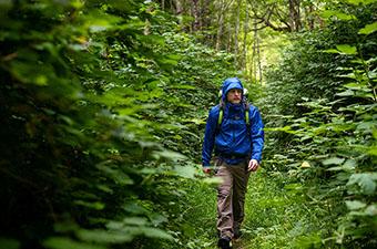 Marmot PreCip Eco jacket (hiking through forest)